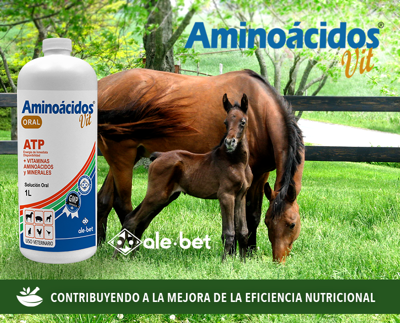 Free HTML5 Template by FreeHTML5.co