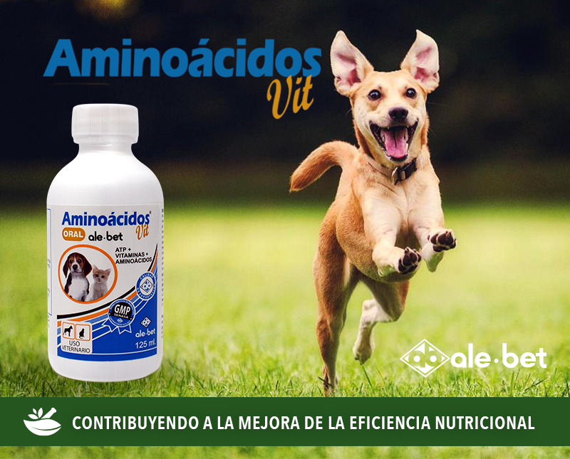 Free HTML5 Template by FreeHTML5.co