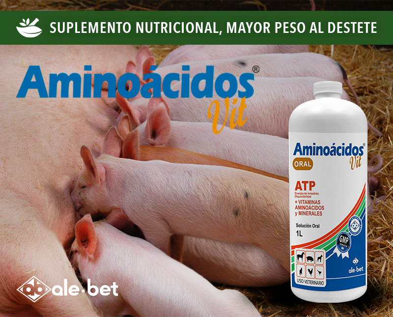 Free HTML5 Template by FreeHTML5.co