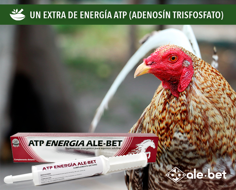 Free HTML5 Template by FreeHTML5.co