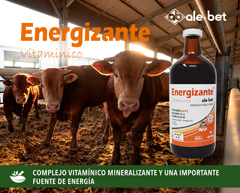 Free HTML5 Template by FreeHTML5.co