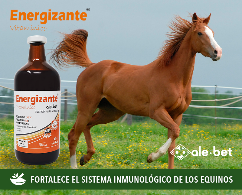 Free HTML5 Template by FreeHTML5.co