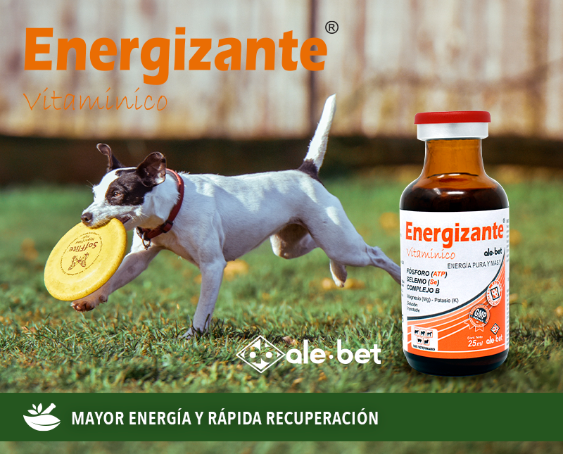 Free HTML5 Template by FreeHTML5.co