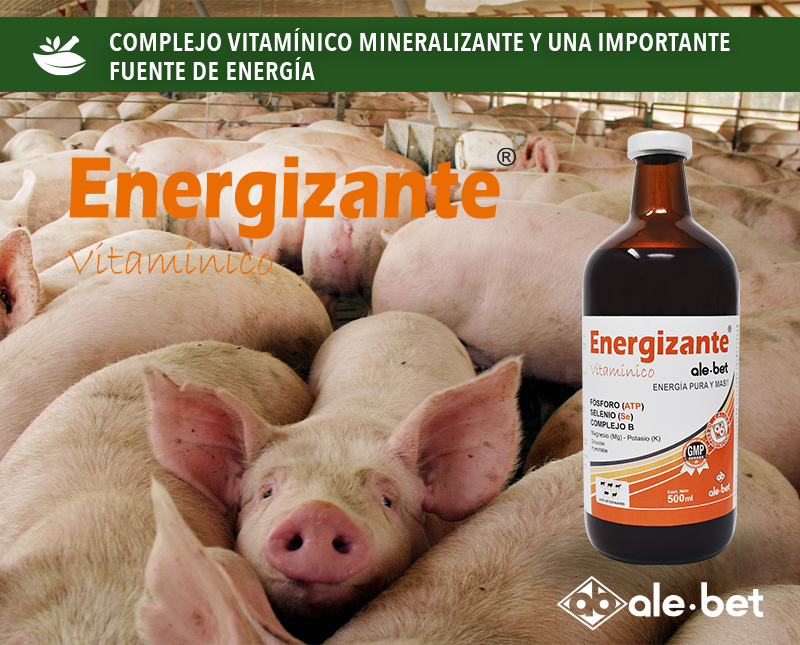 Free HTML5 Template by FreeHTML5.co