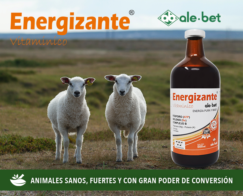 Free HTML5 Template by FreeHTML5.co