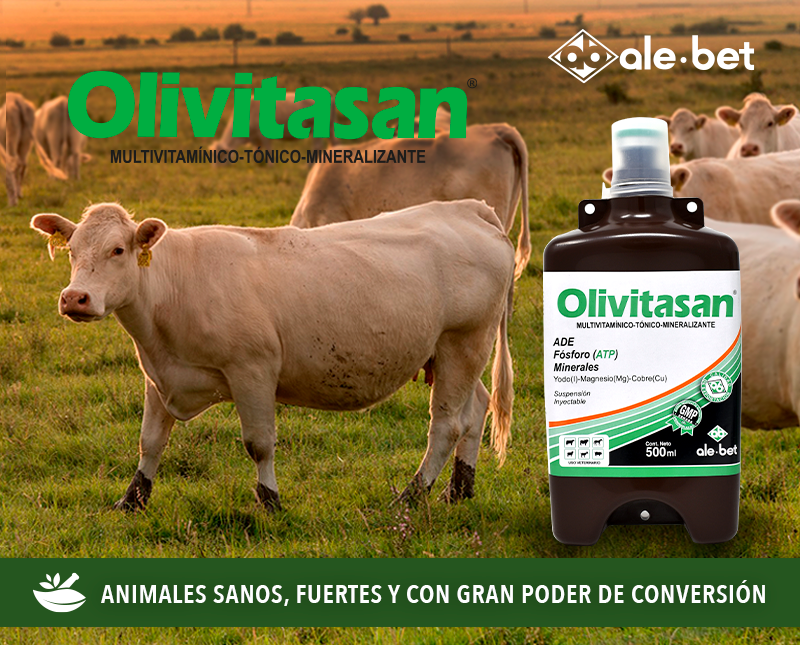 Free HTML5 Template by FreeHTML5.co