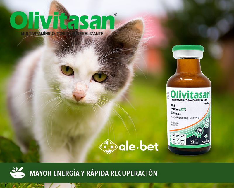 Free HTML5 Template by FreeHTML5.co