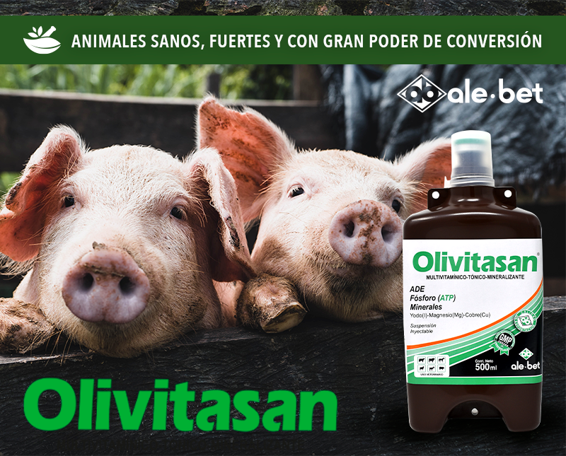 Free HTML5 Template by FreeHTML5.co