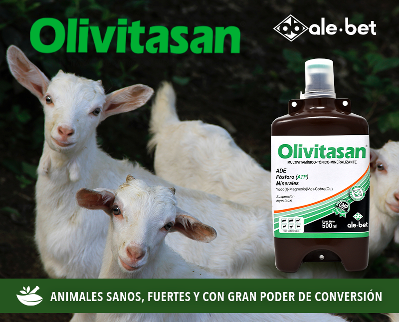 Free HTML5 Template by FreeHTML5.co